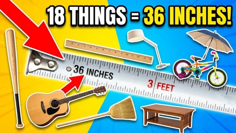 18 Common Things That Are 36 Inches Long