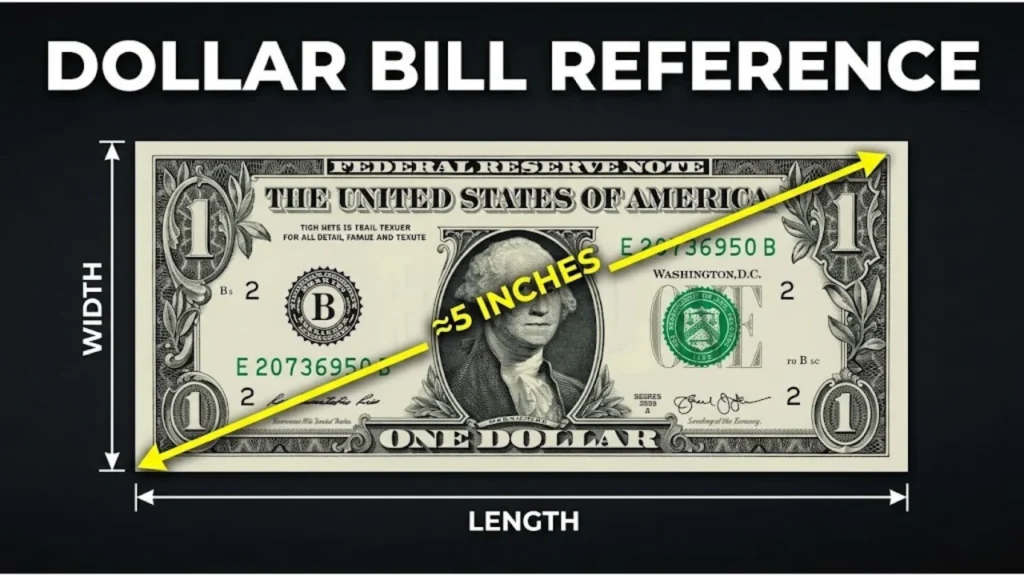 17 Common Things That Are Exactly 5 Inches Long