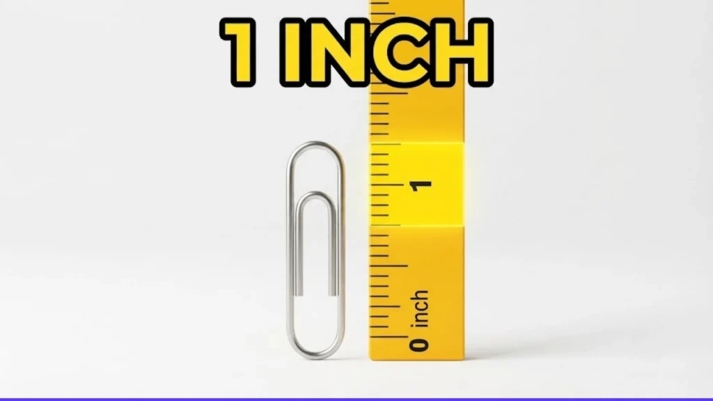 How Long Is 1 Inch, Exactly?