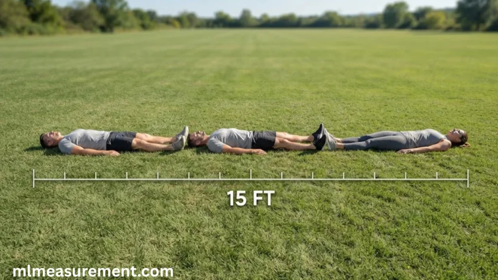 15 feet Nearly Three Adults Head to Toe
