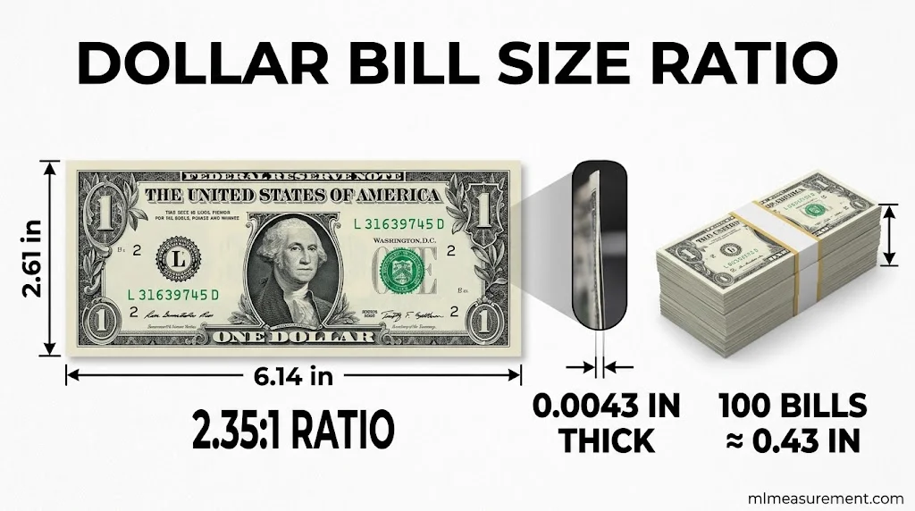 Are All US Bills the Same Size? ($1 to $100)
