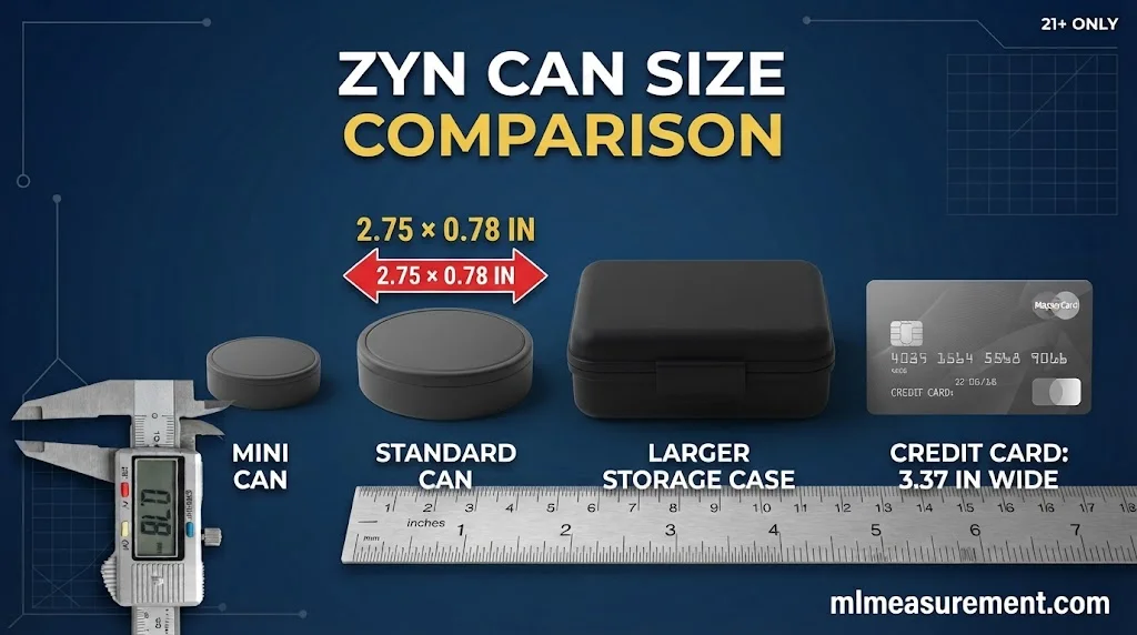 ZYN Can Size vs Other Tins and Cases
